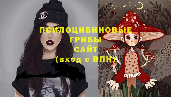 дмт Магадан