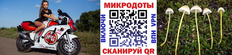 Псилоцибиновые грибы Psilocybe  что такое   Иваново 